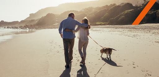 31973 DJW BLOG POST IMAGERY4