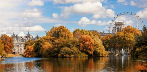 Shutterstock 1186788196